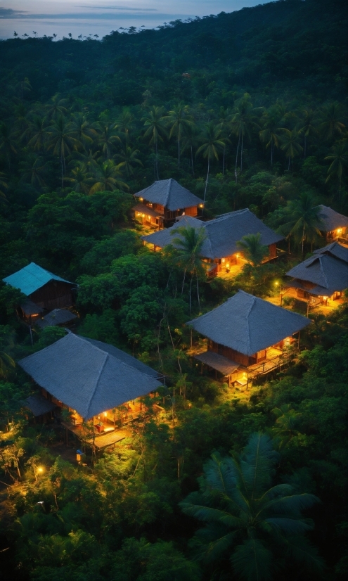 Property, Building, Dusk, Vegetation, House, Tree