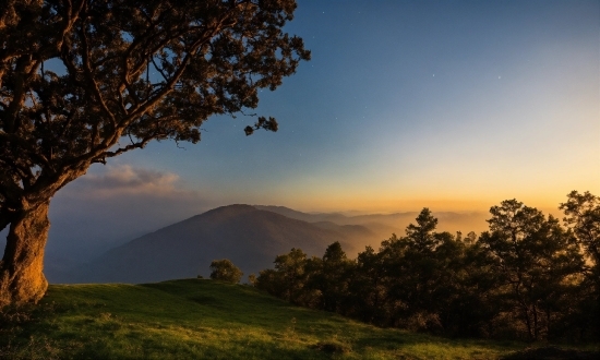 Plant, Sky, Cloud, Natural Landscape, Highland, Tree