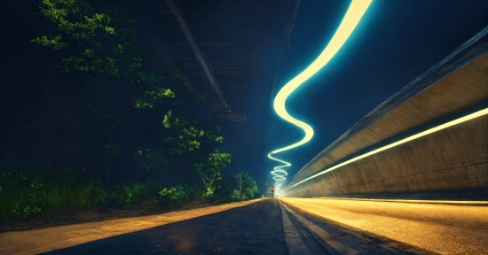 Atmosphere, Plant, Automotive Lighting, Road Surface, Asphalt, Lighting