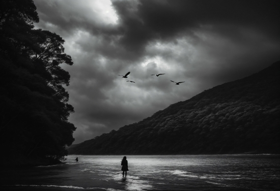 Cloud, Water, Sky, Bird, Atmosphere, Black