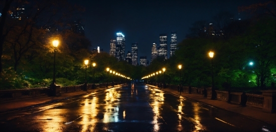 Building, Street Light, Road Surface, Water, Electricity, Thoroughfare