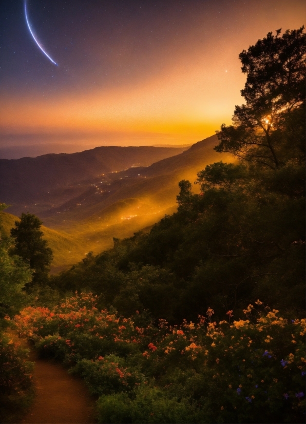 Sky, Plant, Atmosphere, Mountain, Ecoregion, Light