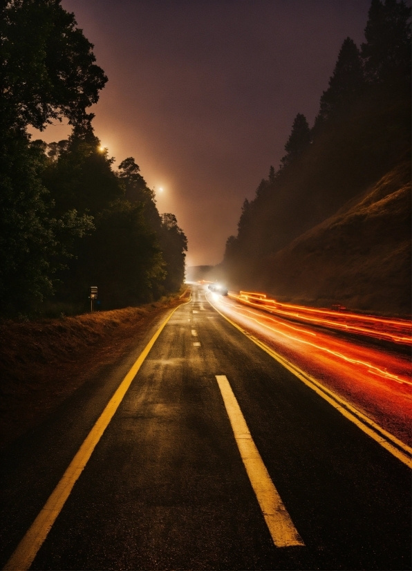 Sky, Plant, Automotive Lighting, Road Surface, Natural Landscape, Asphalt