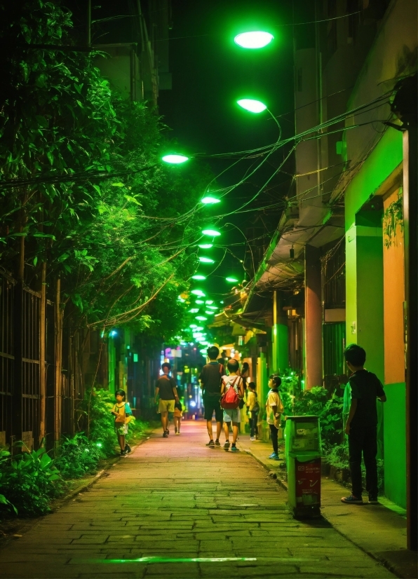 Plant, Green, Street Light, Light, Infrastructure, Window