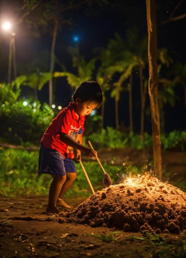 Plant, Light, People In Nature, Leaf, Tree, Lighting