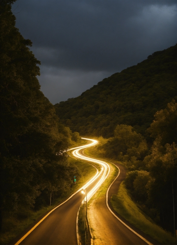 Sky, Automotive Lighting, Cloud, Infrastructure, Road Surface, Plant