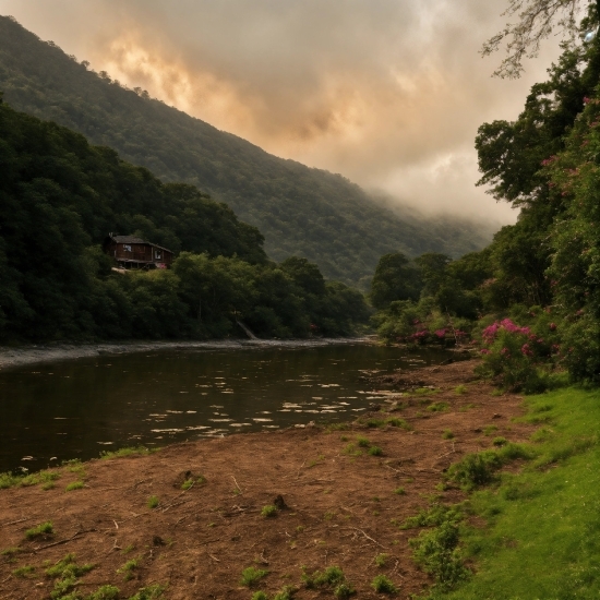 Cloud, Water, Plant, Sky, Mountain, Natural Landscape