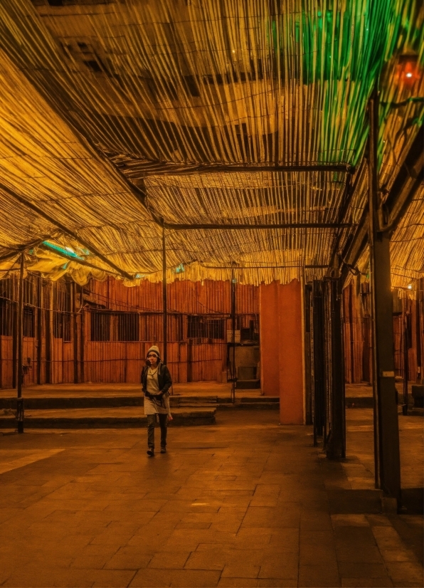 Plant, Tree, Wood, Tints And Shades, Leisure, Ceiling