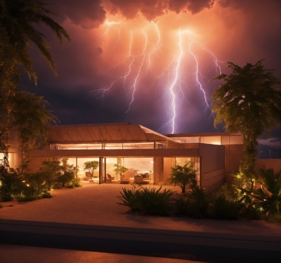 Cloud, Plant, Lightning, Sky, Thunder, Thunderstorm