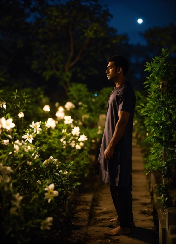 Plant, Sky, Flower, People In Nature, Flash Photography, Vegetation