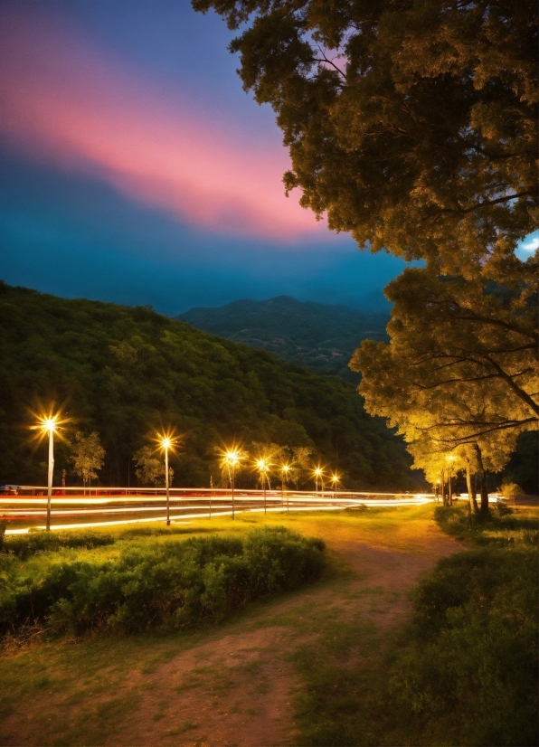 Plant, Sky, Atmosphere, Street Light, Cloud, Automotive Lighting