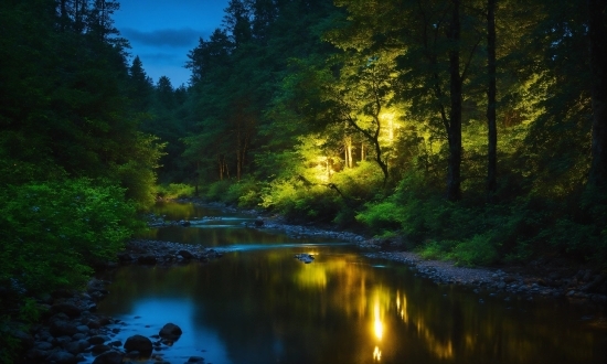 Water, Plant, Sky, Fluvial Landforms Of Streams, Natural Landscape, Tree