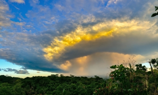 Cloud, Sky, Atmosphere, Plant, Ecoregion, Afterglow