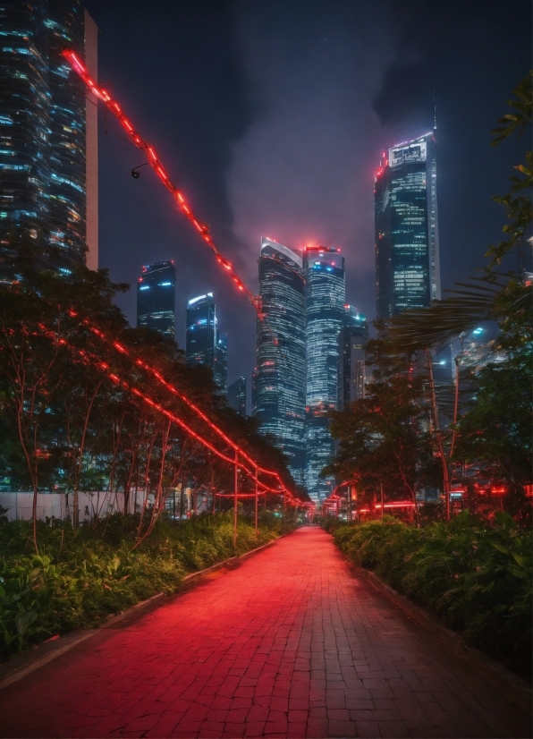 Plant, Building, Skyscraper, Sky, Tower, Light