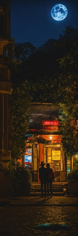 Automotive Lighting, Plant, Road Surface, Tree, Facade, Midnight