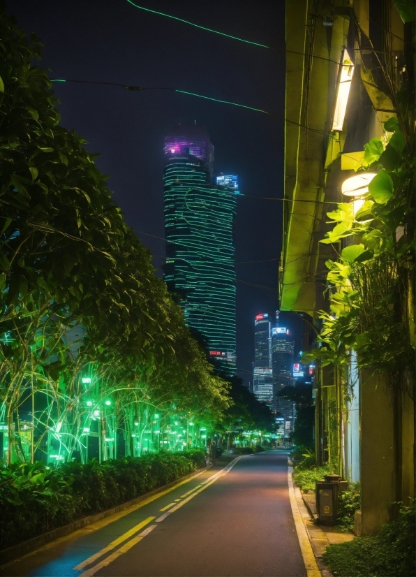 Plant, Building, Street Light, Skyscraper, Light, Leaf