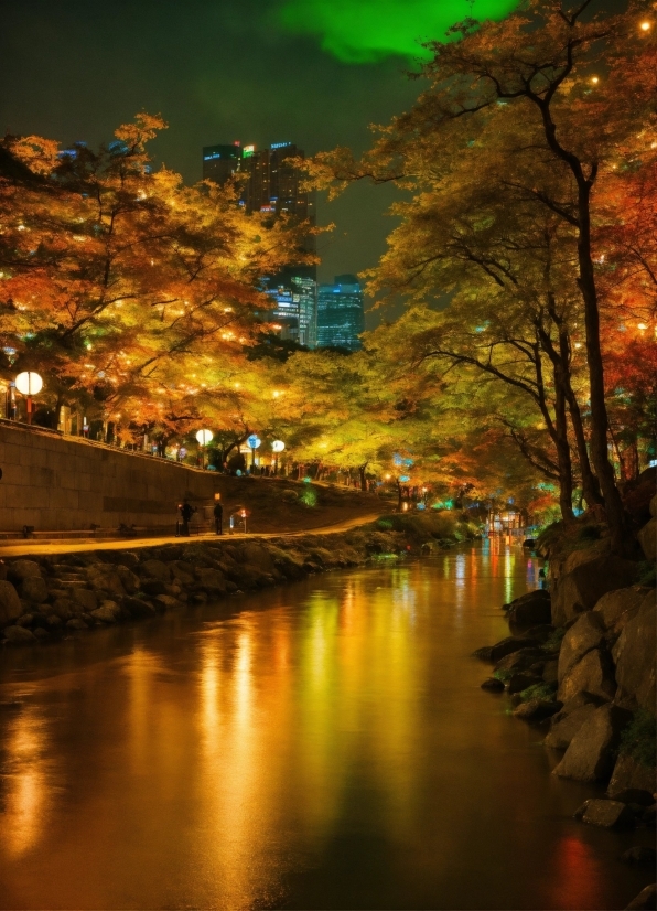 Water, Natural Landscape, Branch, Amber, Tree, Architecture