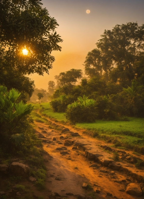 Sky, Plant, Ecoregion, Natural Landscape, Afterglow, Natural Environment