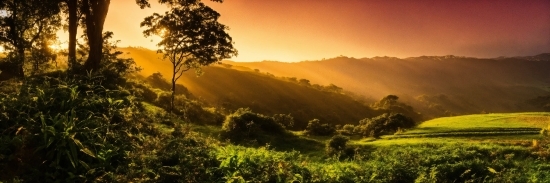 Sky, Natural Landscape, Plant, Mountain, Tree, Atmospheric Phenomenon