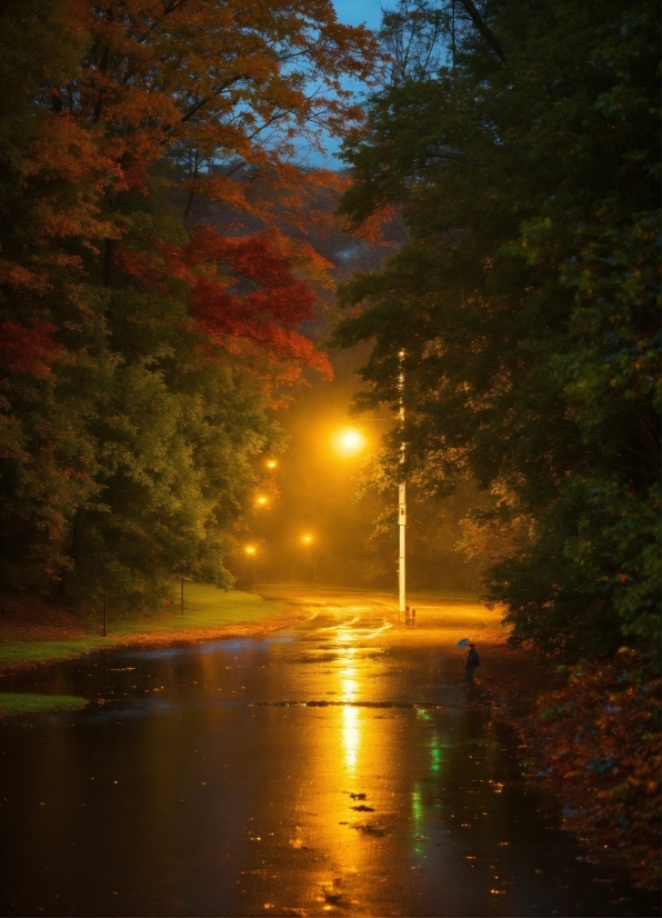 Water, Automotive Lighting, Street Light, Amber, Sky, Natural Landscape