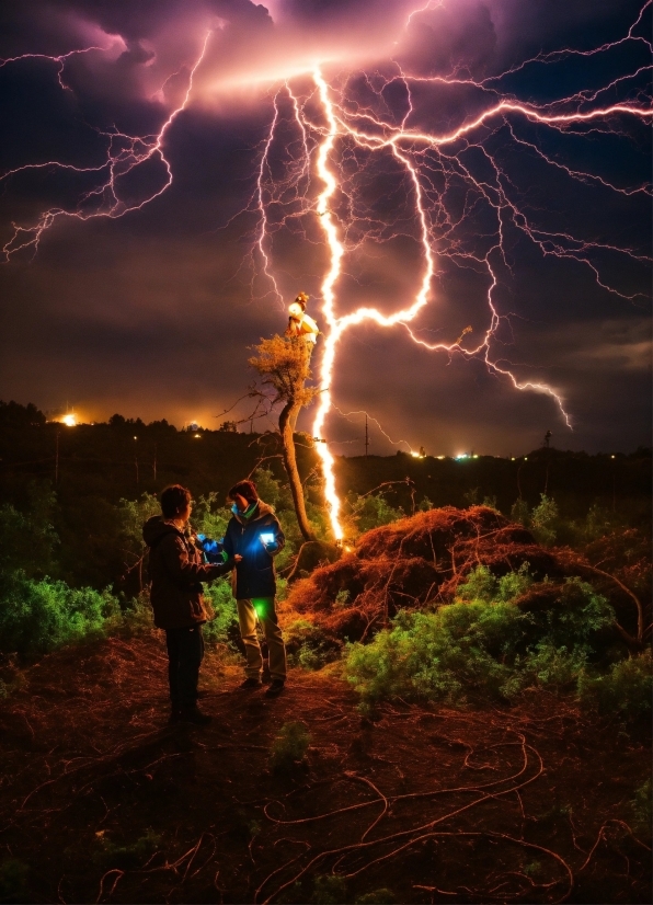 Sky, Lightning, Thunder, Cloud, Plant, Atmosphere