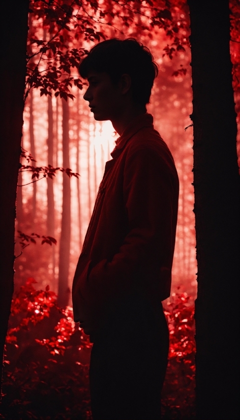 Flash Photography, People In Nature, Standing, Red, Plant, Tints And Shades