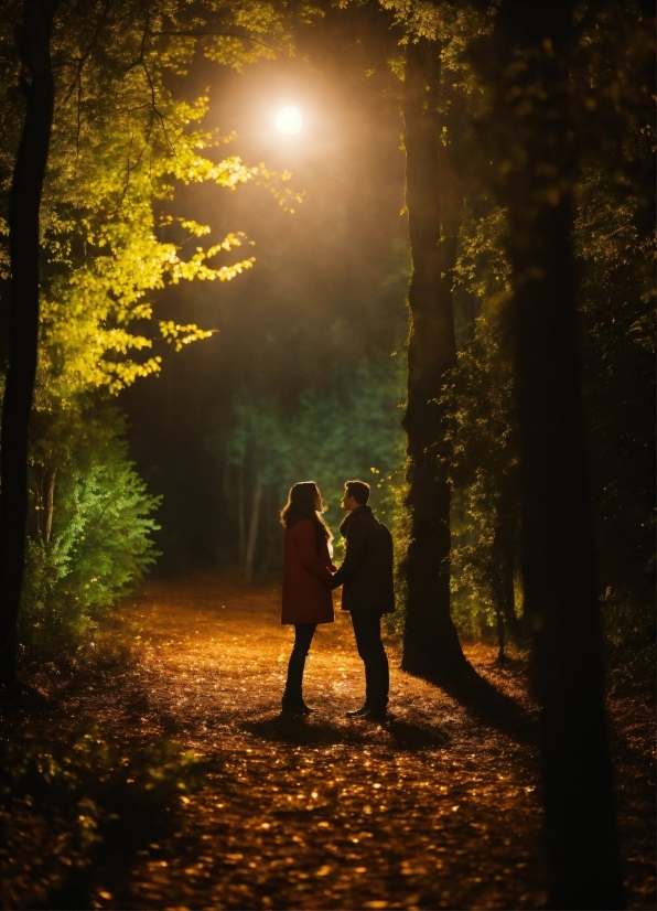 Plant, Atmosphere, People In Nature, Natural Landscape, Wood, Tree