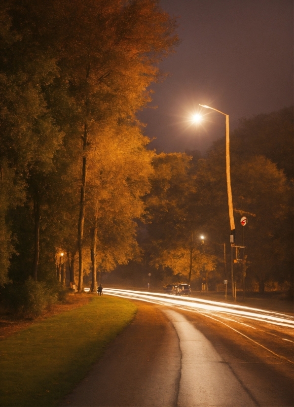 Atmosphere, Sky, Street Light, Light, Leaf, Nature