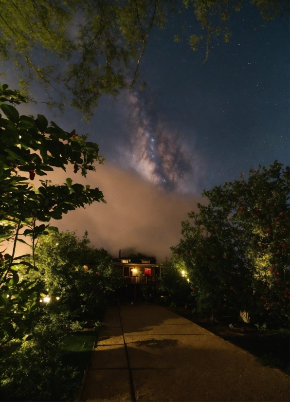 Cloud, Atmosphere, Sky, Plant, Automotive Lighting, Nature