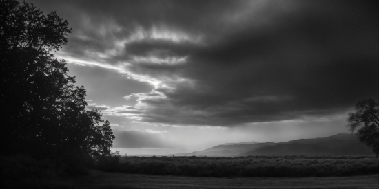 Cloud, Sky, Atmosphere, Natural Landscape, Tree, Grey