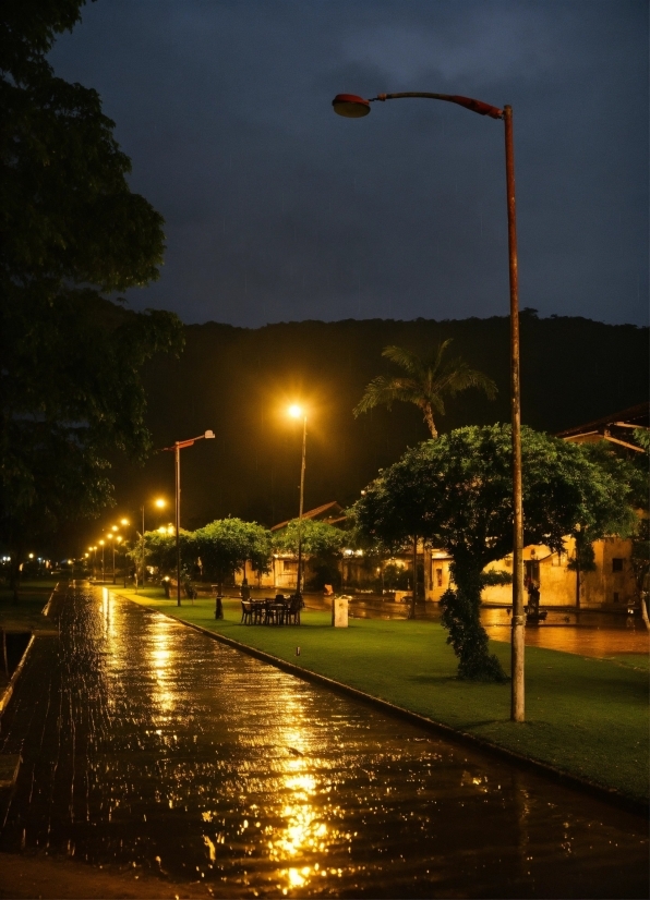 Water, Sky, Street Light, Road Surface, Infrastructure, Automotive Lighting