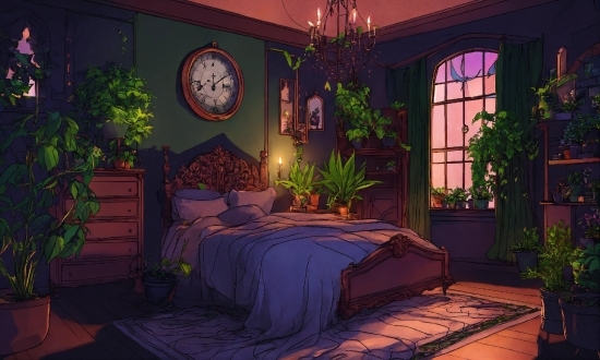 Plant, Light, Purple, Window, Lighting, Building