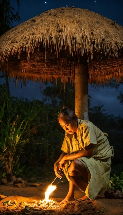 Plant, Light, Nature, Human, Water, Thatching