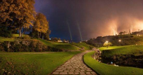 Plant, Sky, Cloud, Tree, Lighting, Grass