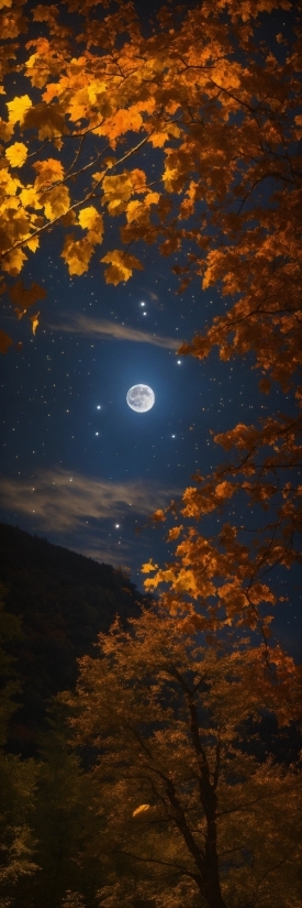 Cloud, Atmosphere, Sky, Moon, World, Natural Landscape