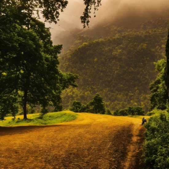 Plant, Cloud, Mountain, Sky, Leaf, People In Nature