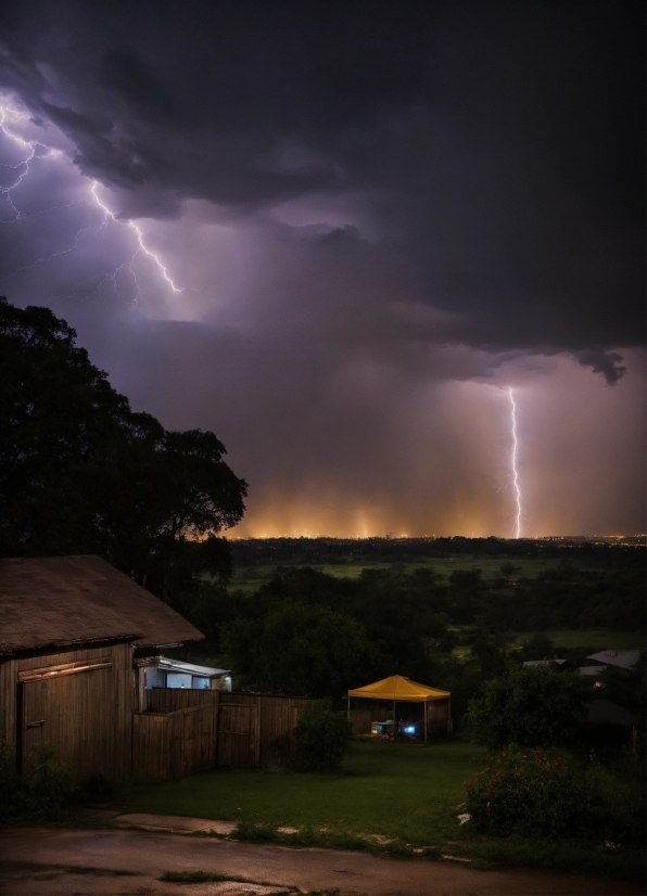 Cloud, Sky, Lightning, Atmosphere, Plant, Thunder