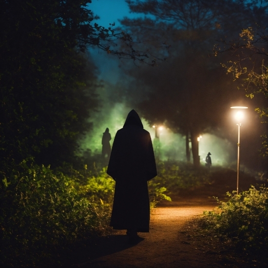 Plant, Atmosphere, Flash Photography, Branch, People In Nature, Street Light