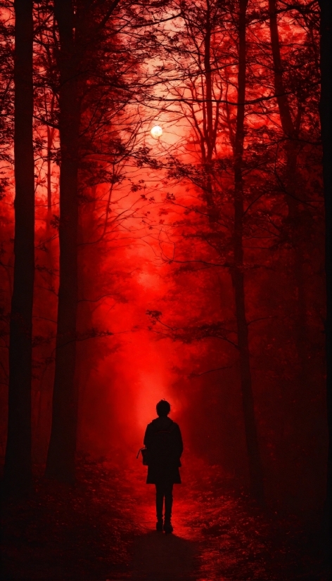 Sky, Atmosphere, Plant, People In Nature, Light, Nature