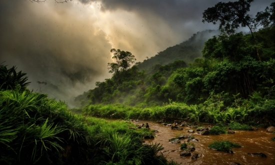 Cloud, Plant, Sky, Natural Landscape, Mountain, Tree