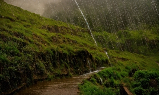 Water, Plant, Water Resources, Mountain, Natural Landscape, Highland