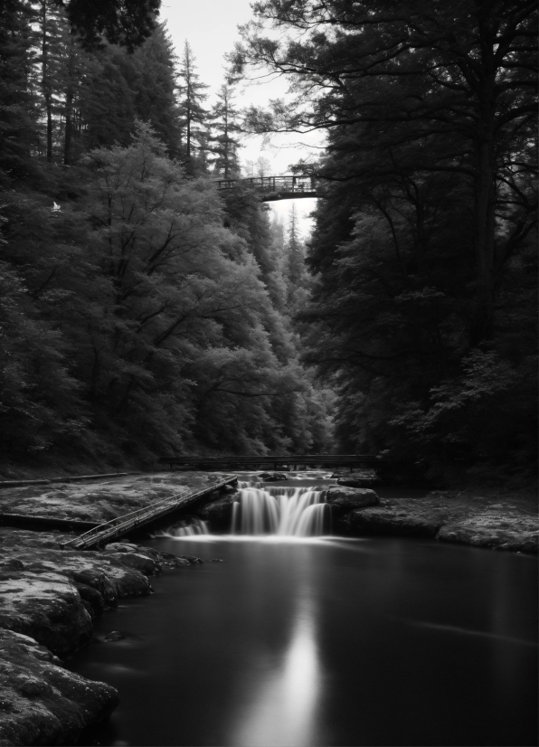 Water, Atmosphere, Water Resources, Sky, Plant, Nature