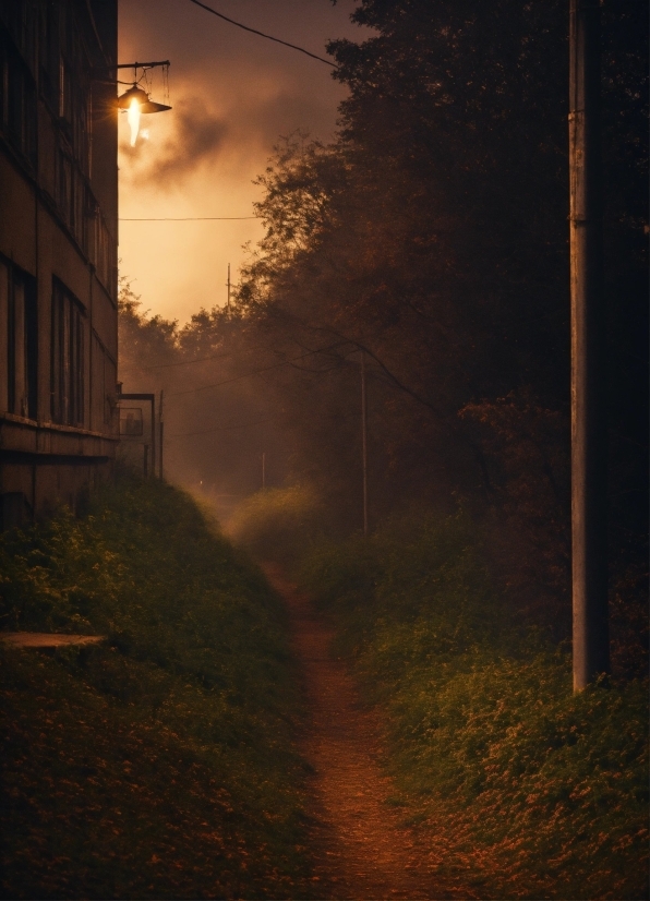 Atmosphere, Cloud, Sky, Plant, Road Surface, Automotive Lighting