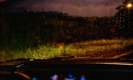 Automotive Lighting, Hood, Window, Leaf, Sky, Motor Vehicle