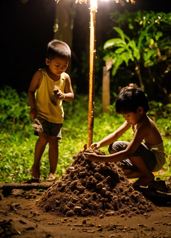 Plant, Light, People In Nature, Street Light, Grass, Shorts