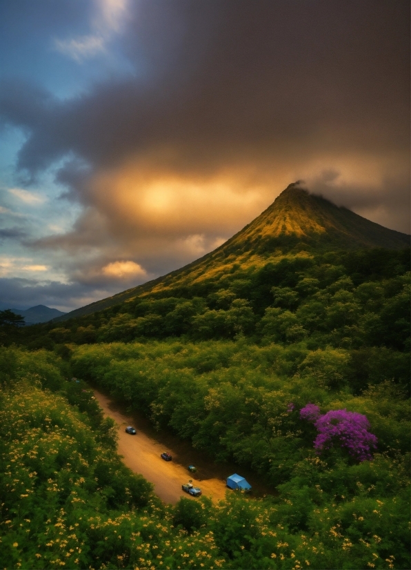 Cloud, Sky, Plant, Mountain, Flower, Ecoregion