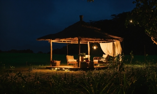 Plant, Sky, Shade, Tree, Thatching, Landscape