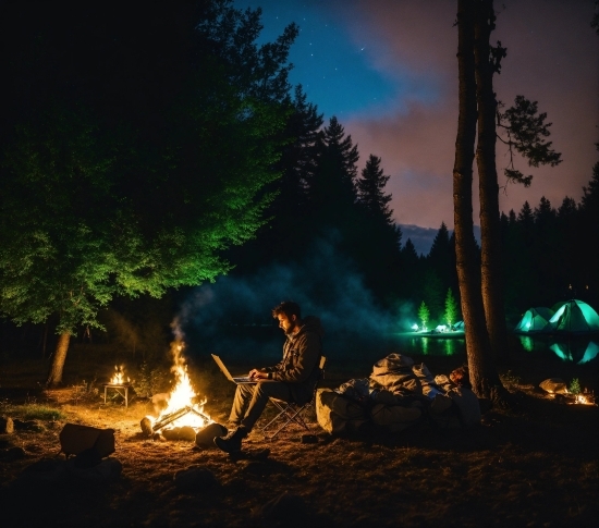 Sky, Light, Tree, Bonfire, Fire, Natural Landscape