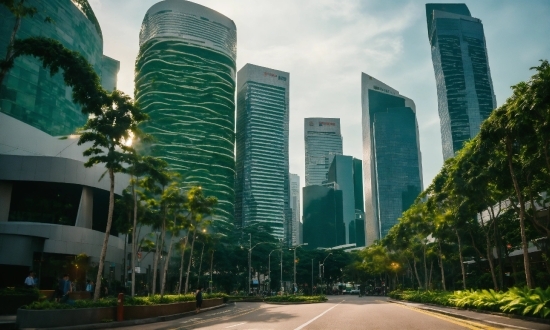 Skyscraper, Building, Plant, Sky, Daytime, Property