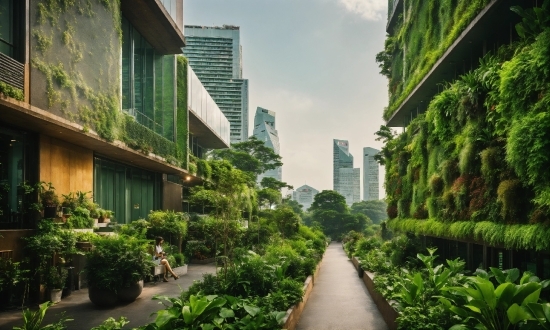 Plant, Building, Daytime, Property, Sky, Green